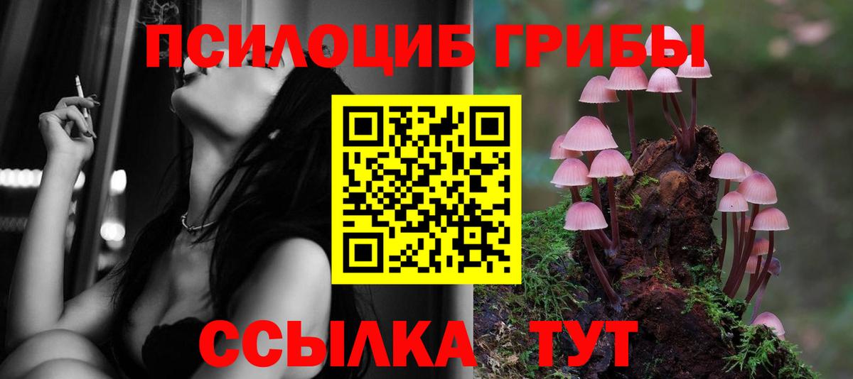 Избербаш  Псилоцибиновые грибы Psilocybe  Вход с VPN  Псилоцибиновые грибы мухоморы 